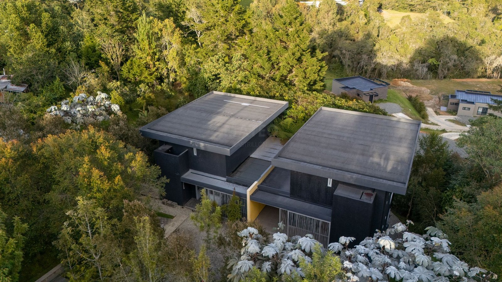 Vista aérea de casa moderna en medio del bosque
